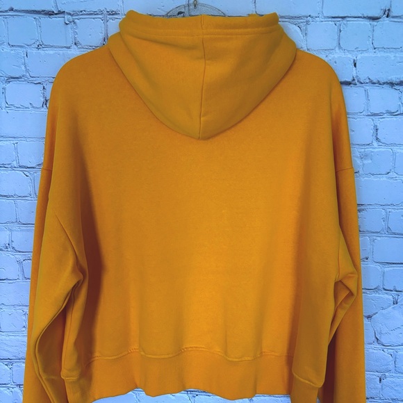 The North Face Pride Outdoors Together Hoodie--Sz L - Picture 6 of 15